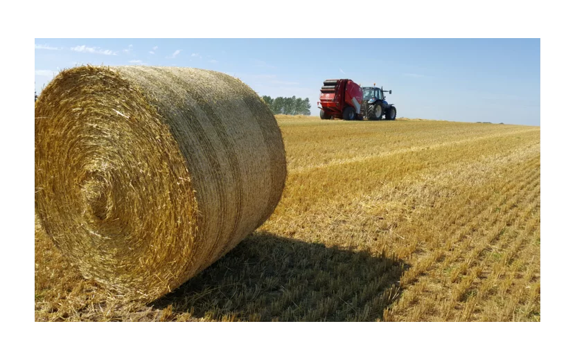 73387720 TamaNet Royal With Baler